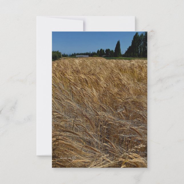 Summer Wheat Field Card (Front)