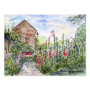 Summer Wildflower English Garden in York Photo Print