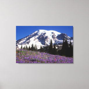 summer wildflowers at the base of Mount Rainier, 2 Canvas Print