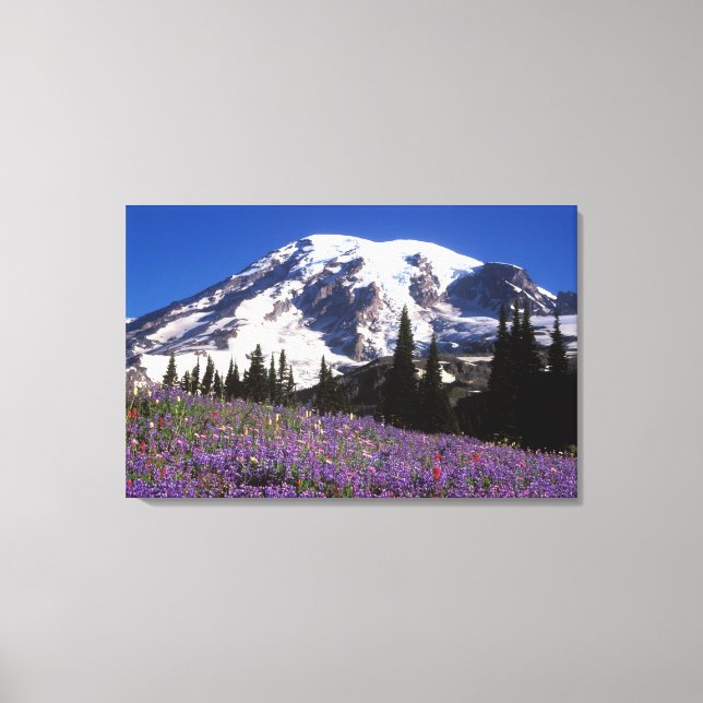 summer wildflowers at the base of Mount Rainier, 2 Canvas Print (Front)