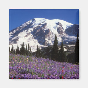 summer wildflowers at the base of Mount Rainier, 2 Magnet