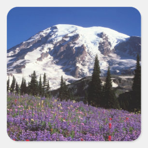 summer wildflowers at the base of Mount Rainier, 2 Square Sticker