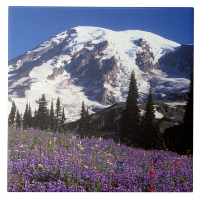 summer wildflowers at the base of Mount Rainier, 2 Tile (Front)
