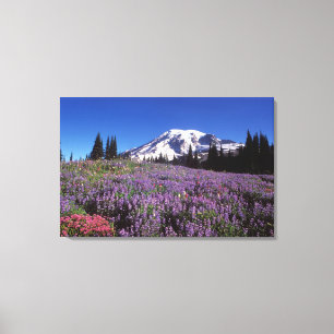 summer wildflowers at the base of Mount Rainier, Canvas Print