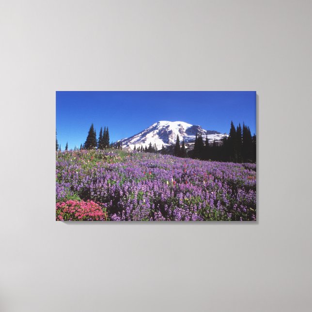 summer wildflowers at the base of Mount Rainier, Canvas Print (Front)