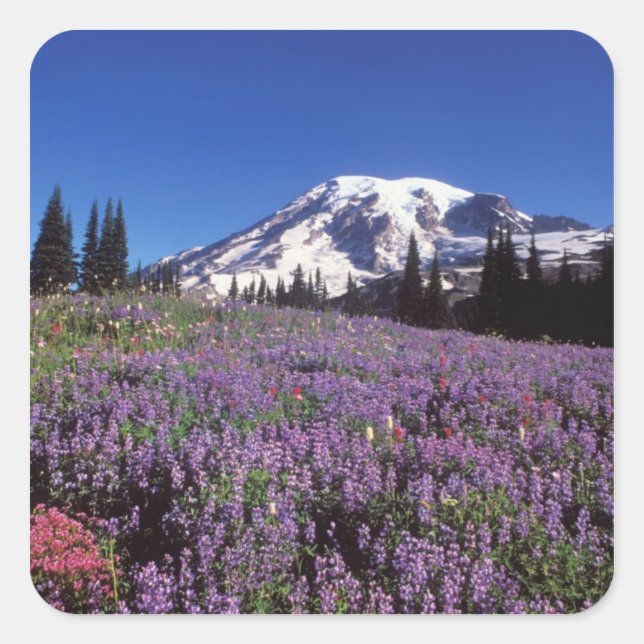 summer wildflowers at the base of Mount Rainier, Square Sticker (Front)