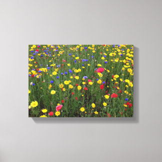 Summer Wildflowers from Loch Ness Canvas Print
