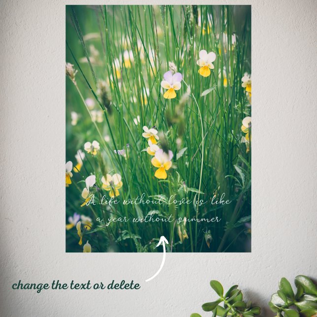 Summer wildflowers  poster (Creator Uploaded)