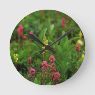 Summer Wildflowers Send Forth A Riot Of Colour Round Clock