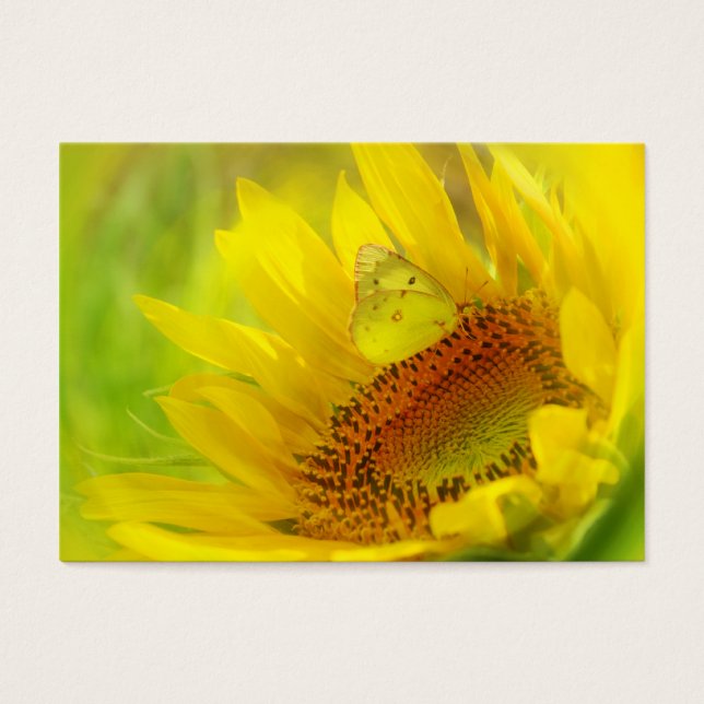Summer wings, profile card (Front)