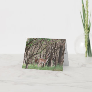 Summer Woodland Fawns Photo Baby Shower Thank You Card