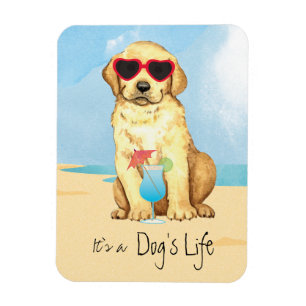 Summer Yellow Lab Magnet