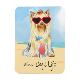Summer Yorkie Magnet