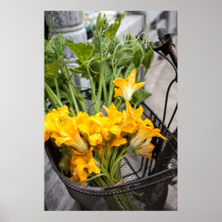 Summer Zuchinni Blossoms Poster