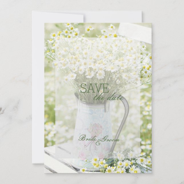 Summerfield Daisies Camomile Flower SAVE the Date (Front)