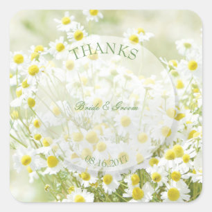 Summerfield Daisies Camomile Flower Wedding Thanks Square Sticker