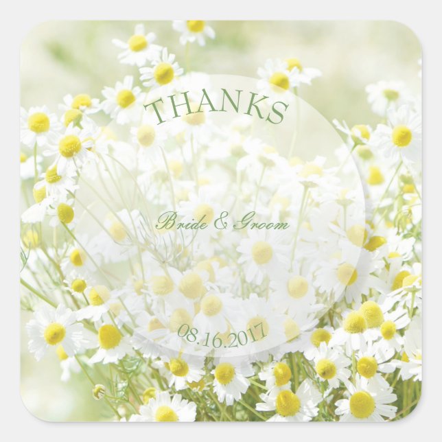 Summerfield Daisies Camomile Flower Wedding Thanks Square Sticker (Front)
