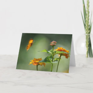 Summer's Light Card