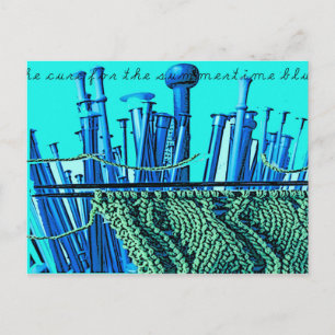 Summertime Blues Postcard