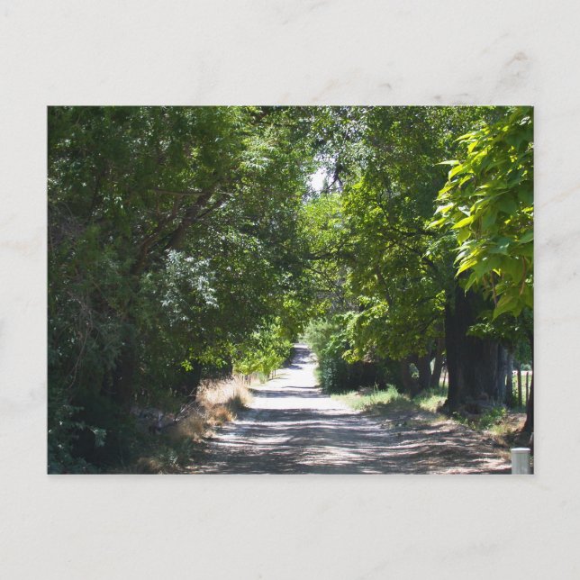 Summertime Postcard (Front)