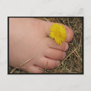 Summertime Postcard