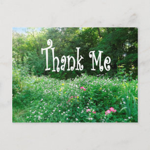Summertime THANK ME postcard 2015