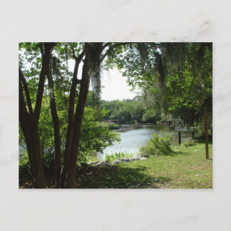 Summerville, SC Postcard