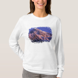 Summit of Denali Peak Mt. McKinley) at T-Shirt