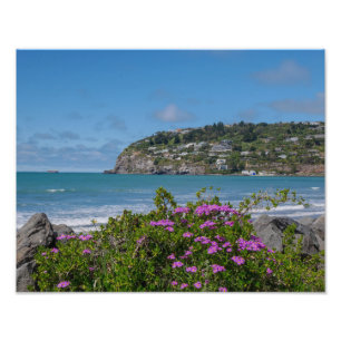 Sumner Beach, Christchurch - Photo Print