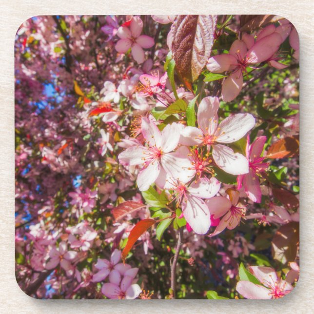 Sun and clouds Nature blooms Heart in flowers Coaster (Front)