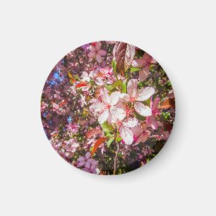 Sun and clouds Nature blooms Heart in flowers Magnet
