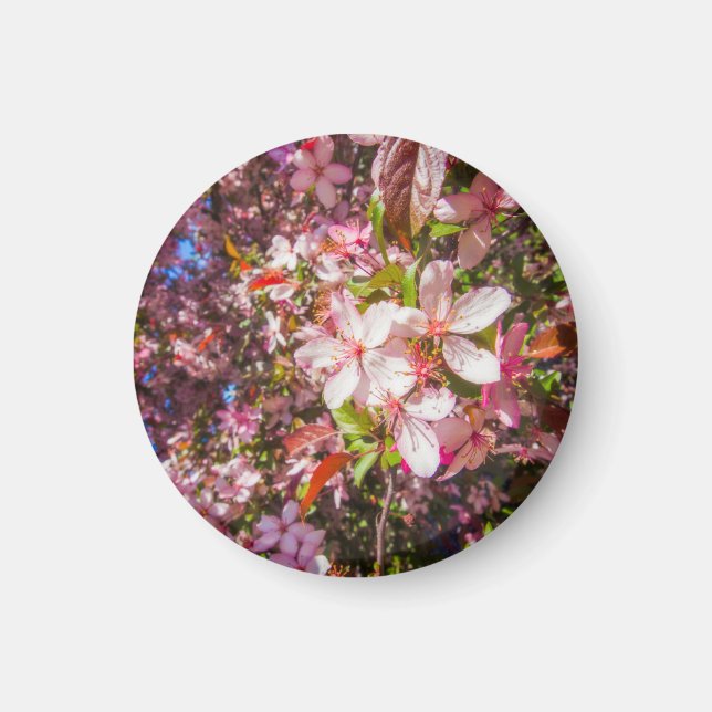 Sun and clouds Nature blooms Heart in flowers Magnet (Front)