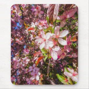 Sun and clouds Nature blooms Heart in flowers Mouse Mat