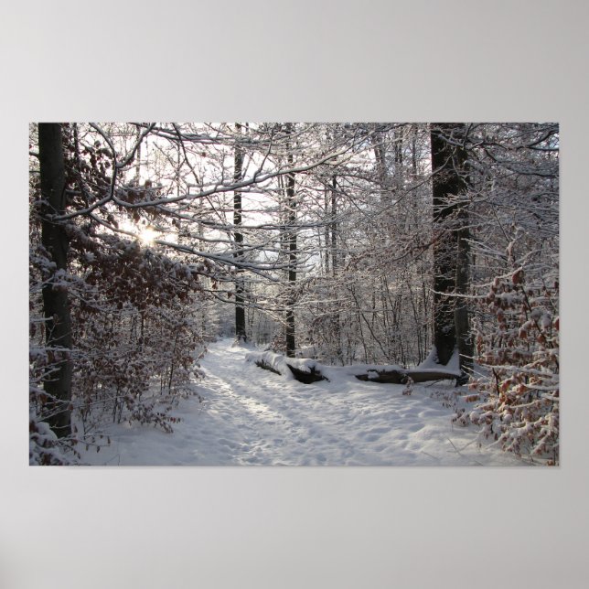 Sun and cold poster (Front)