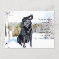 Sun and Wind - Dog Quote - Black Labrador