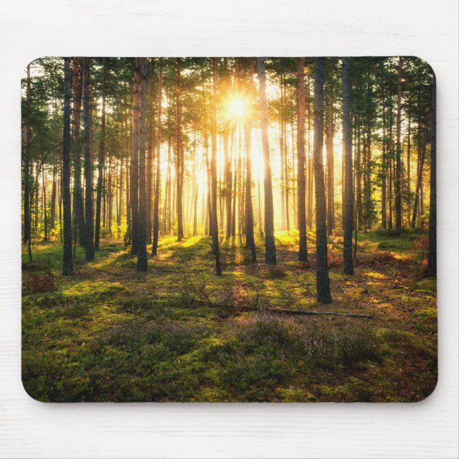 Sun beams shines in pine forest mouse mat (Front)