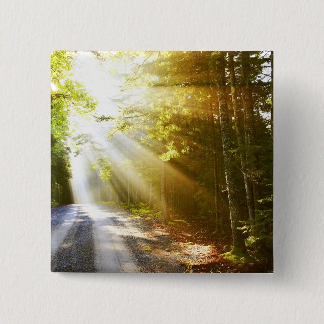 Sun Beams Through Forest in Acadia National Park 15 Cm Square Badge (Front)