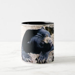 Sun Bear Coffee Cup