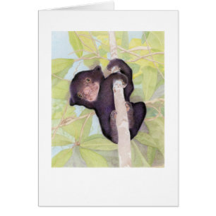 Sun Bear Cub Card