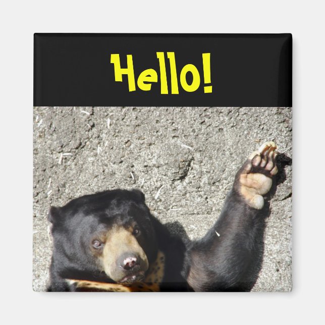 Sun Bear Hello Magnet (Front)
