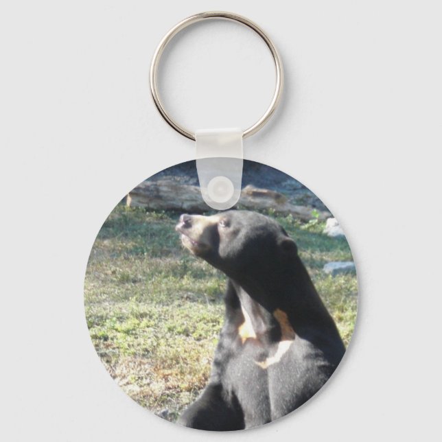 Sun Bear Key Ring (Front)