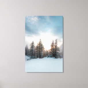Sun behind spruce trees canvas print