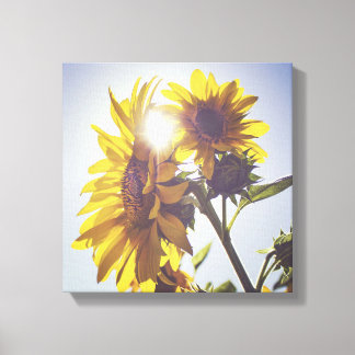 Sun Behind The Sunflowers Canvas Print