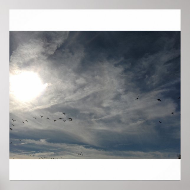 sun bleached poster (Front)