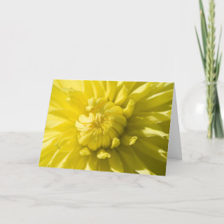 Sun burst greeting card
