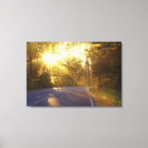 Sun bursts through the forest onto roadway at canvas print