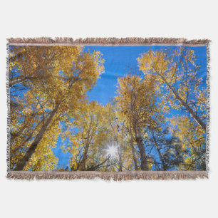 Sun Bursts through Trees Throw Blanket