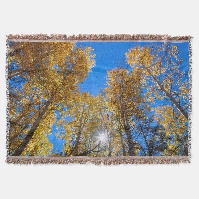 Sun Bursts through Trees Throw Blanket (Front)