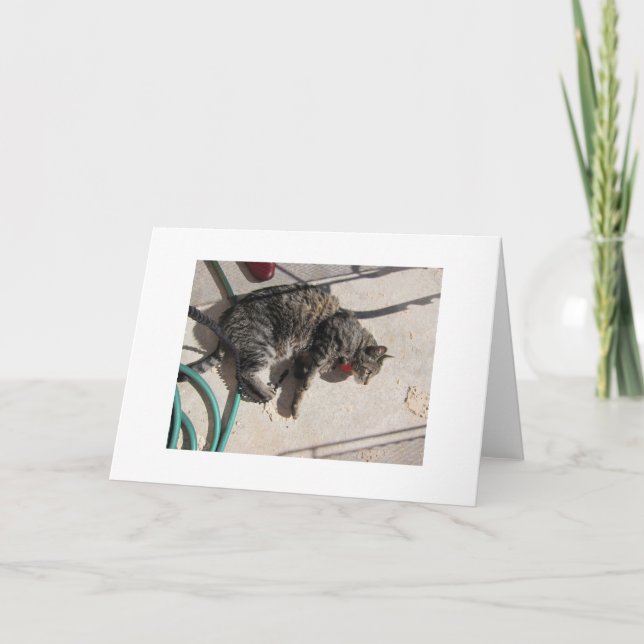 Sun Cat Card (Front)