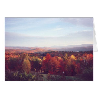 "Sun catches the treetops"